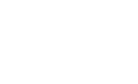 flower 15