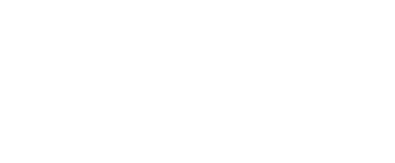 flower 16