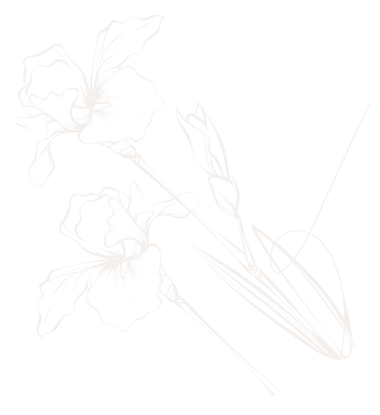 flower 3