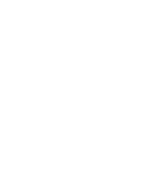 flower white 3